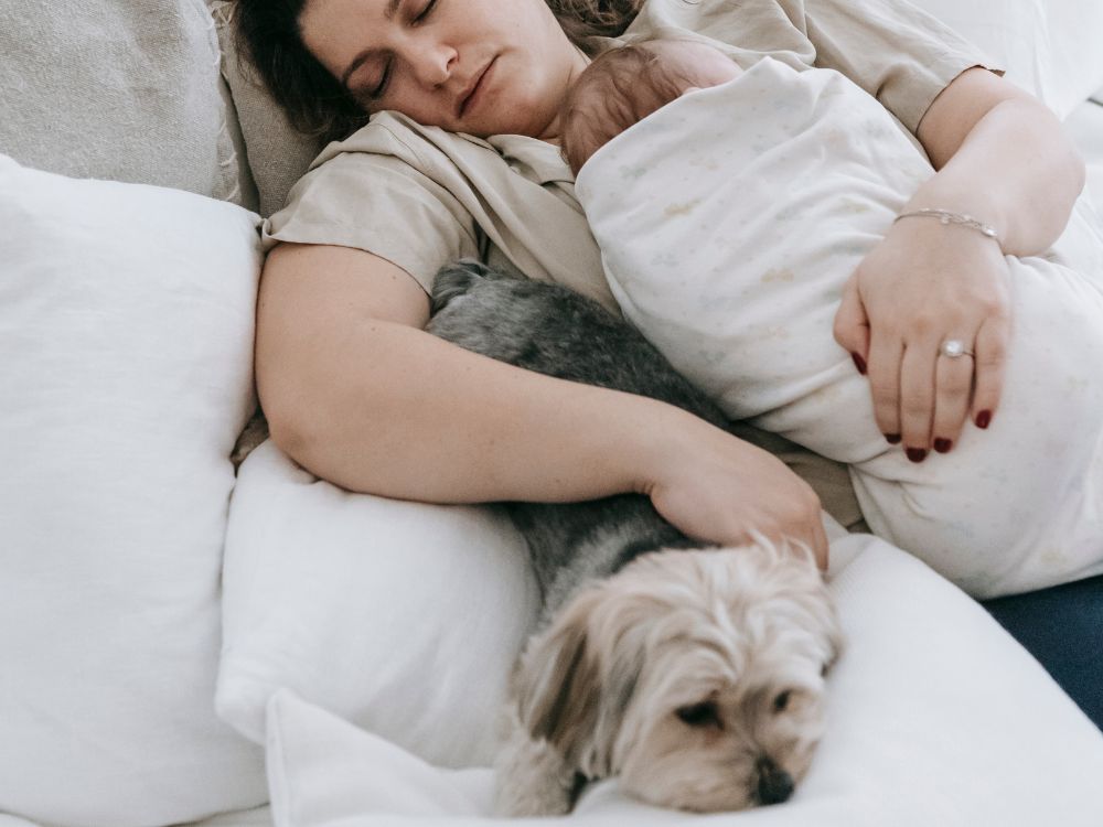 benefícios de dormir com o cachorro