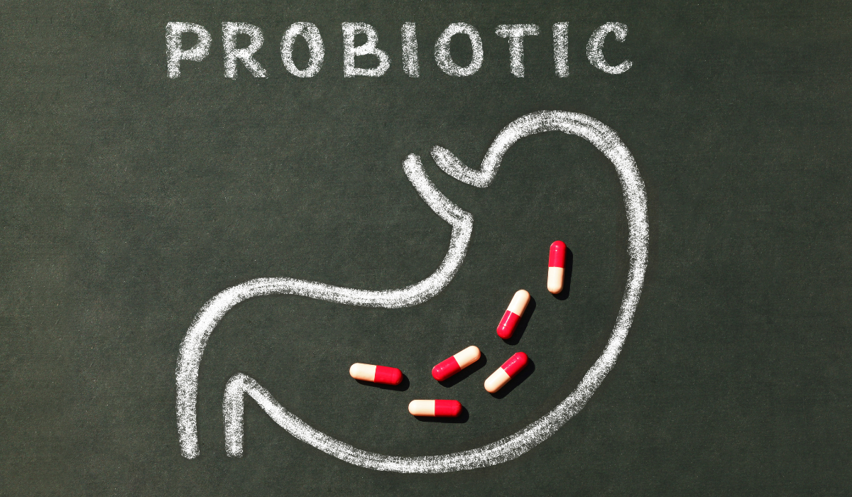 probióticos