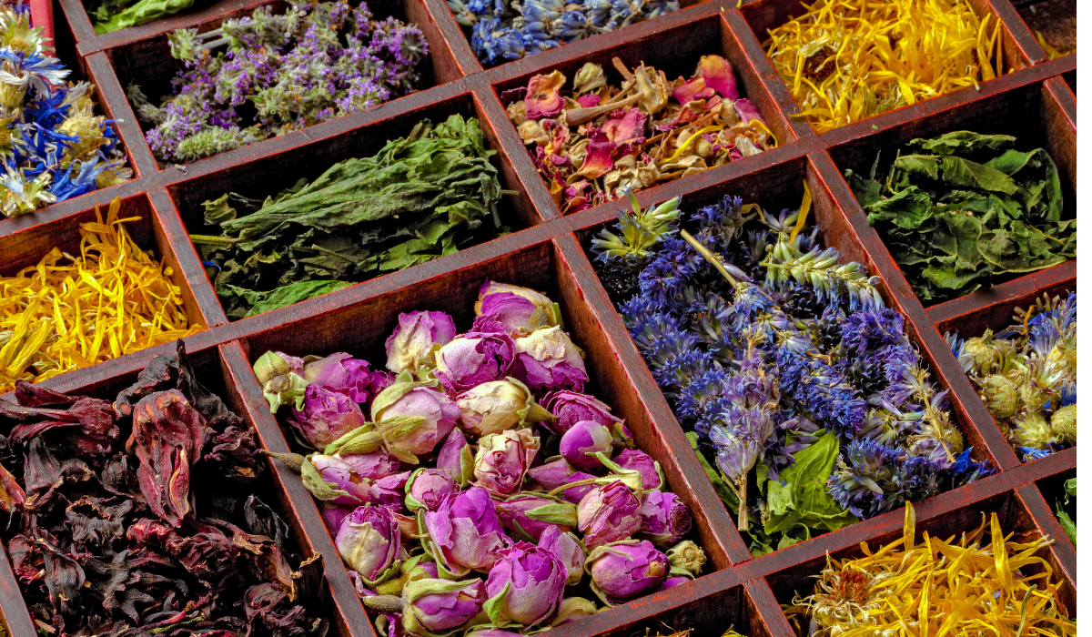 Descubra as melhores ervas para tratar artrite em cães 1 Ervas naturais