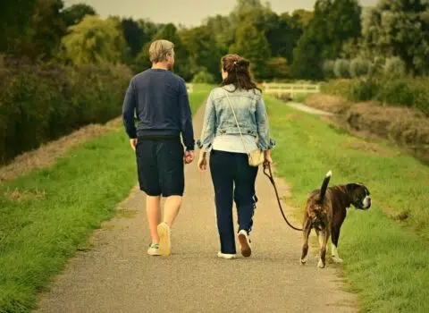 motivos para passear todos os dias com o cachorro