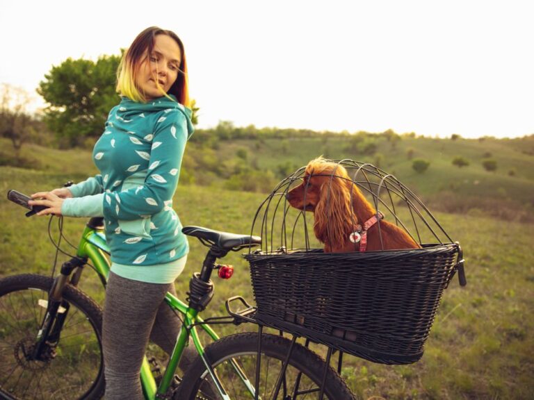 Mulher levando cachorro na cestinha da bicicleta. Foto: Canva.