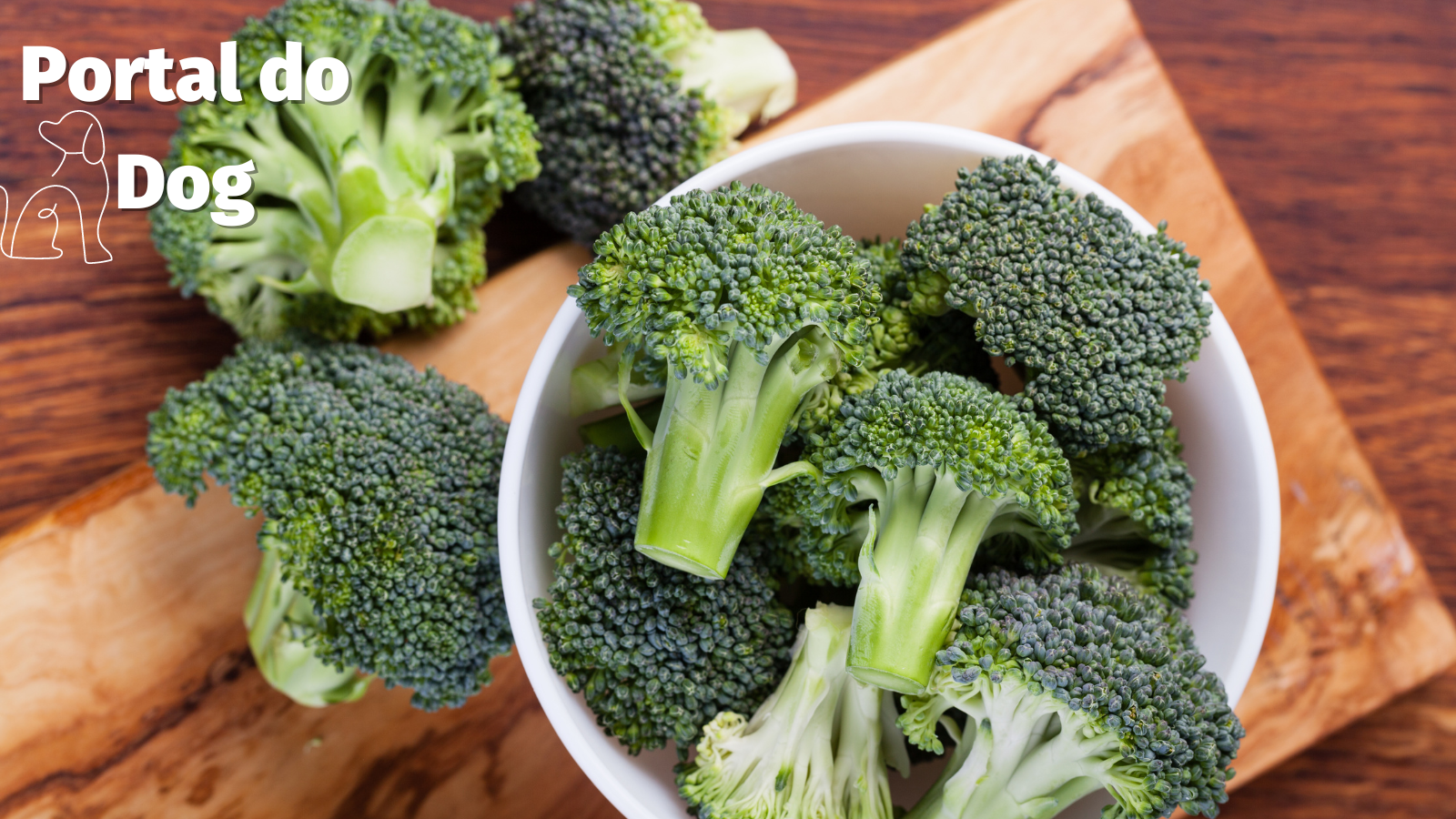 Legumes que cachorro pode comer brocolis - Legumes que cachorro pode comer