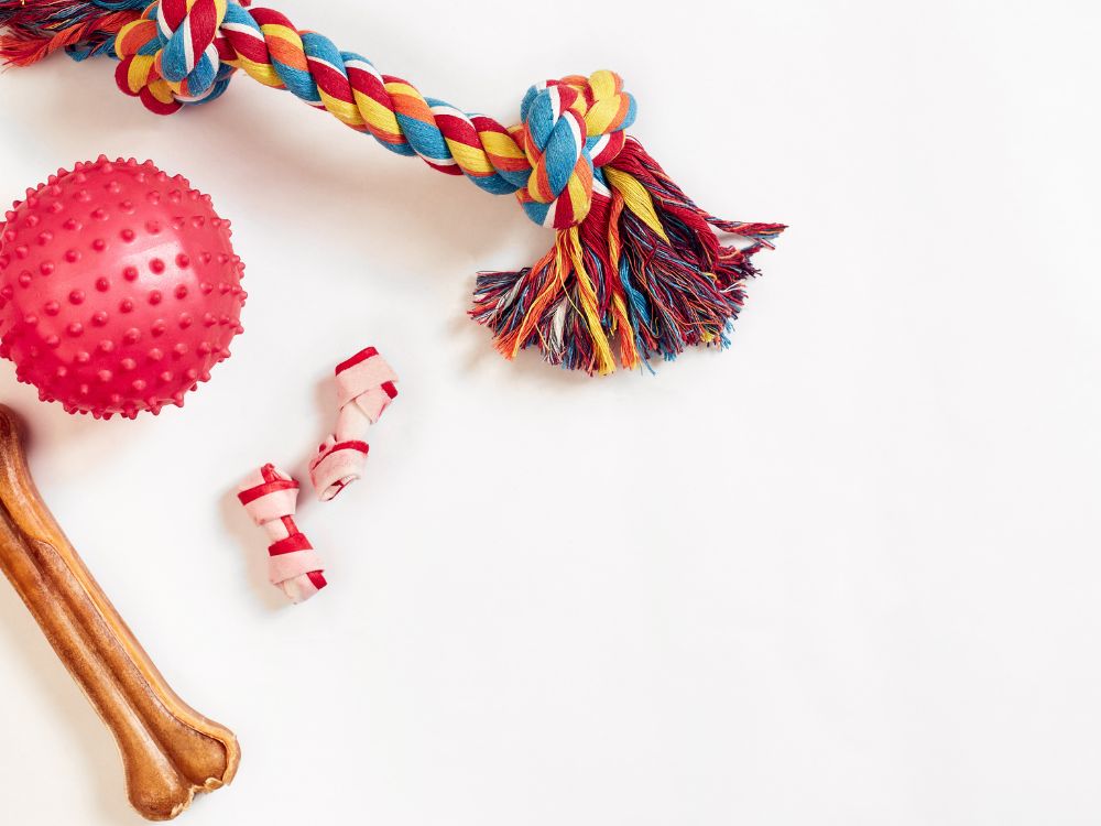 Brinquedos perigosos para cachorro: Conheça e evite! 1 brinquedos perigosos para cachorro