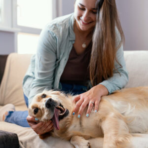mulher brinca com cachorro no sofá