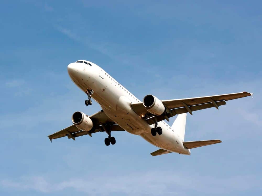 Novas diretrizes para transporte de pets em aviões