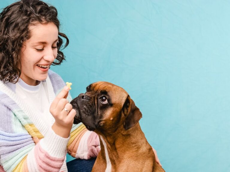 Estes alimentos ajudam a manter a saúde bucal do cachorro