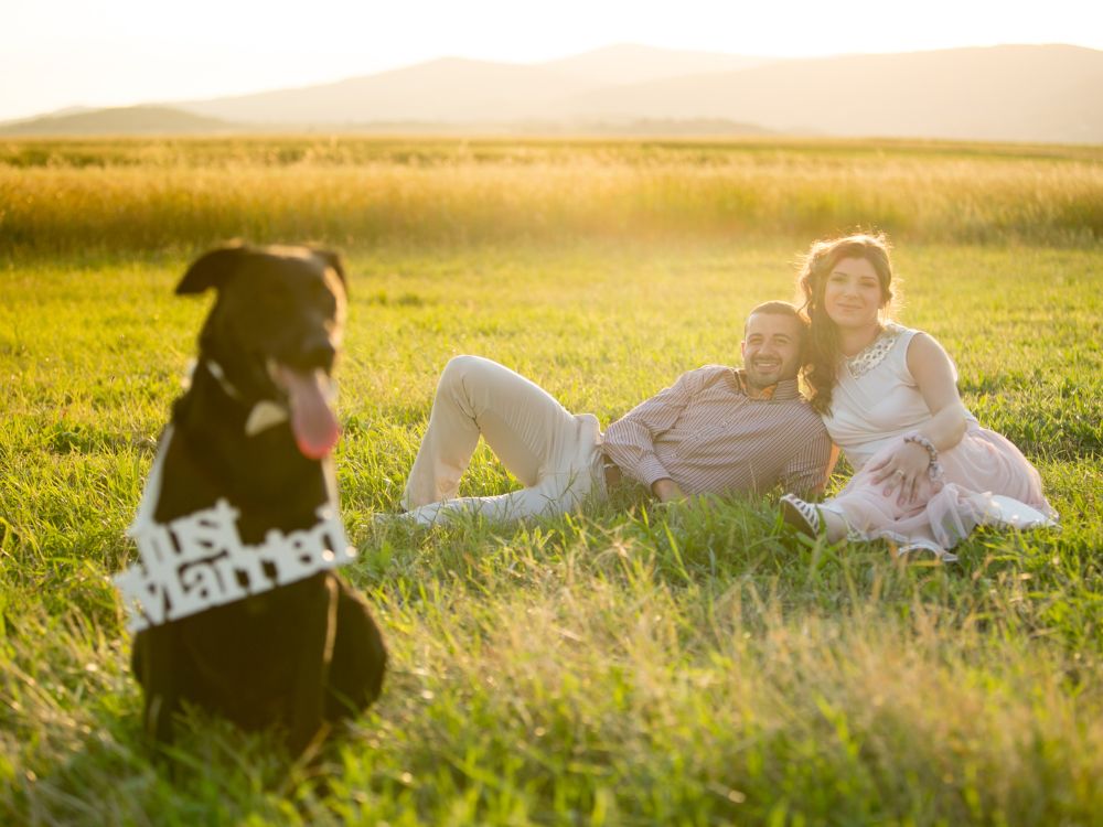Fotos de casamento com cachorro