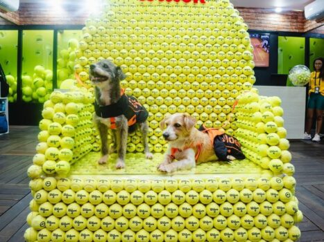 Você viu Rio Open terá cãodulas super fofos