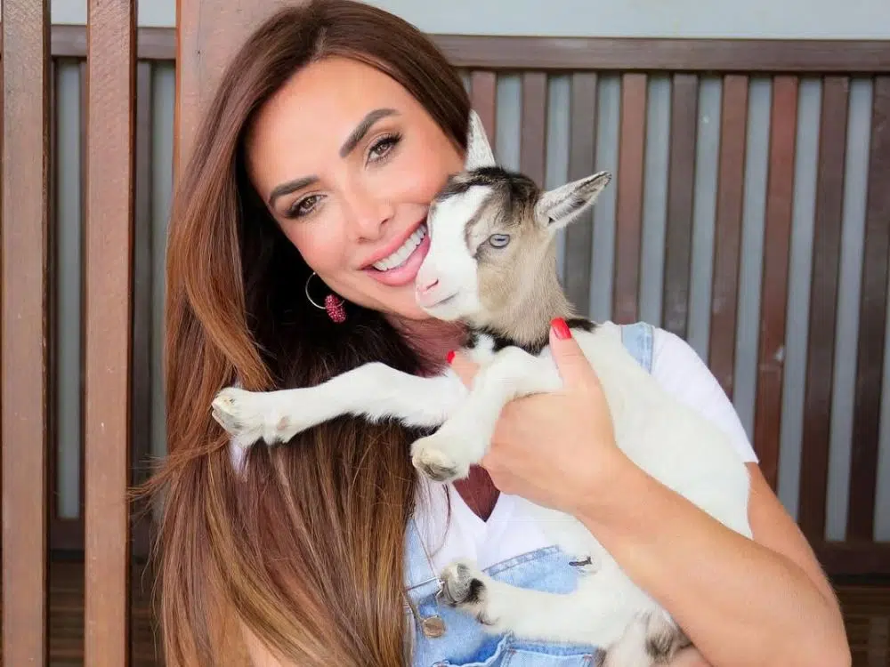 famosos que têm pet