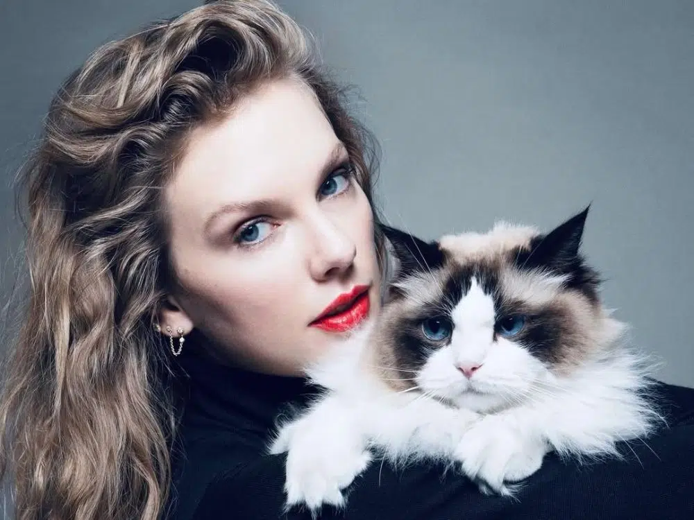 famosos que têm pet