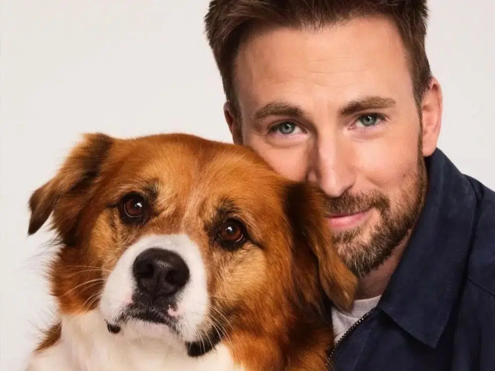 famosos que tem pet
