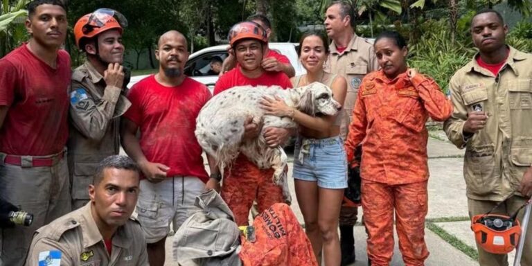 Cachorro de Anitta que fugiu no Natal