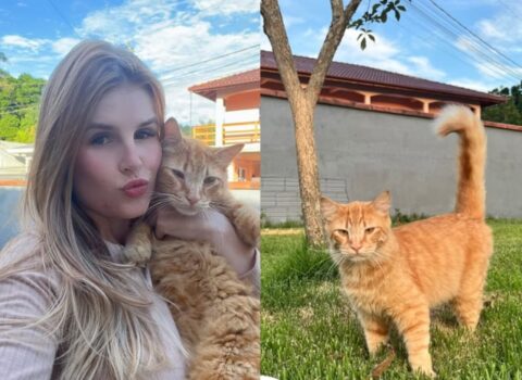 Ex-tutora exige devolução do pet adotado por Beatriz Andiara