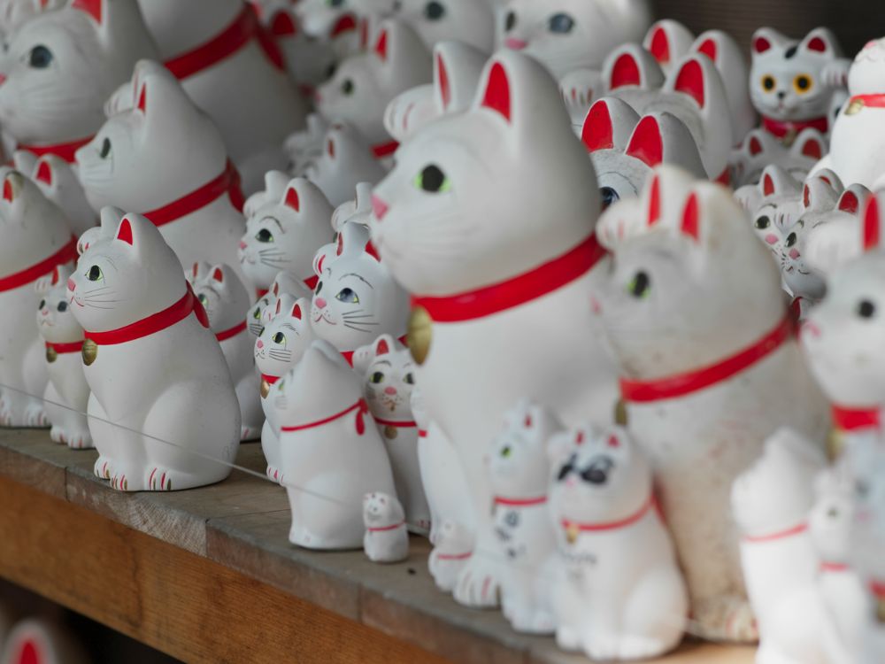 Museu dedicado aos gatos