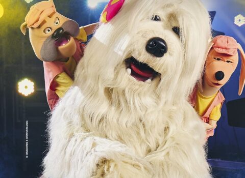 Personagens do musical "TV Colosso: O Musical"