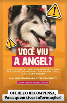 Gracyanne Barbosa oferece recompensa por cachorro que sumiu
