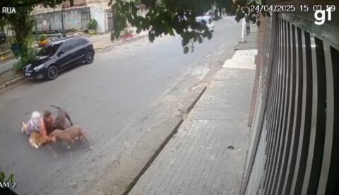 Grávida de sete meses cai ao tentar salvar cachorro