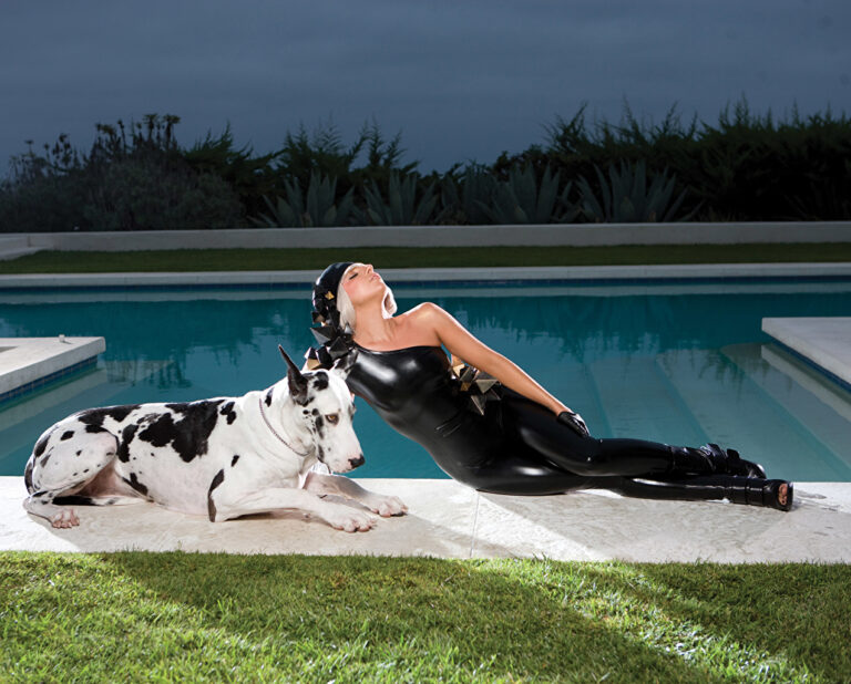 Lady GaGa Dogs Great 463827