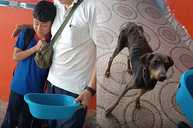 Menino leva sua cachorra para escola
