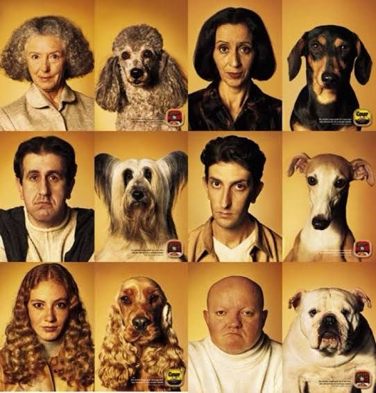 Imagens da campanha da ração césar, em 1999