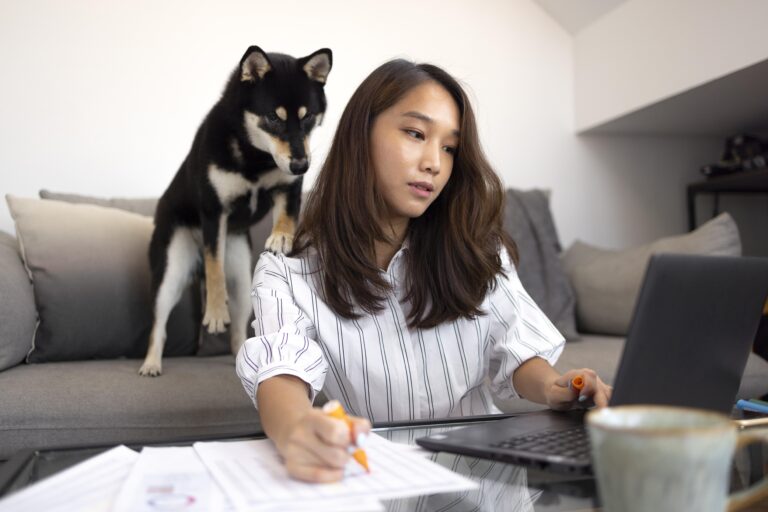 cão e sua tutora no computador