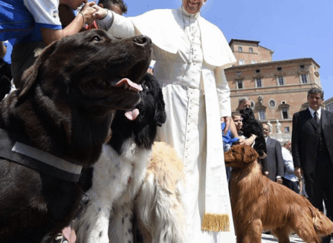 Imagem do papa com cães