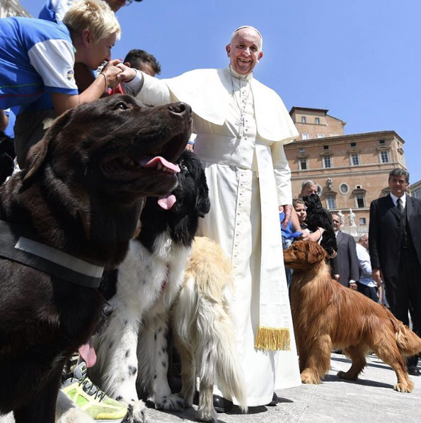 Imagem do papa com cães