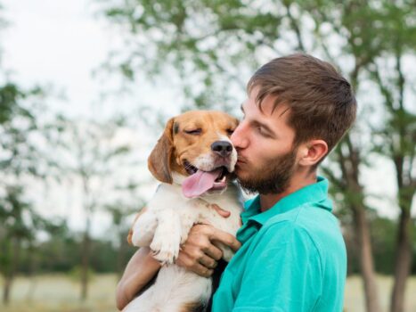 Animais de suporte emocional podem ser recusados em cabines de aviões