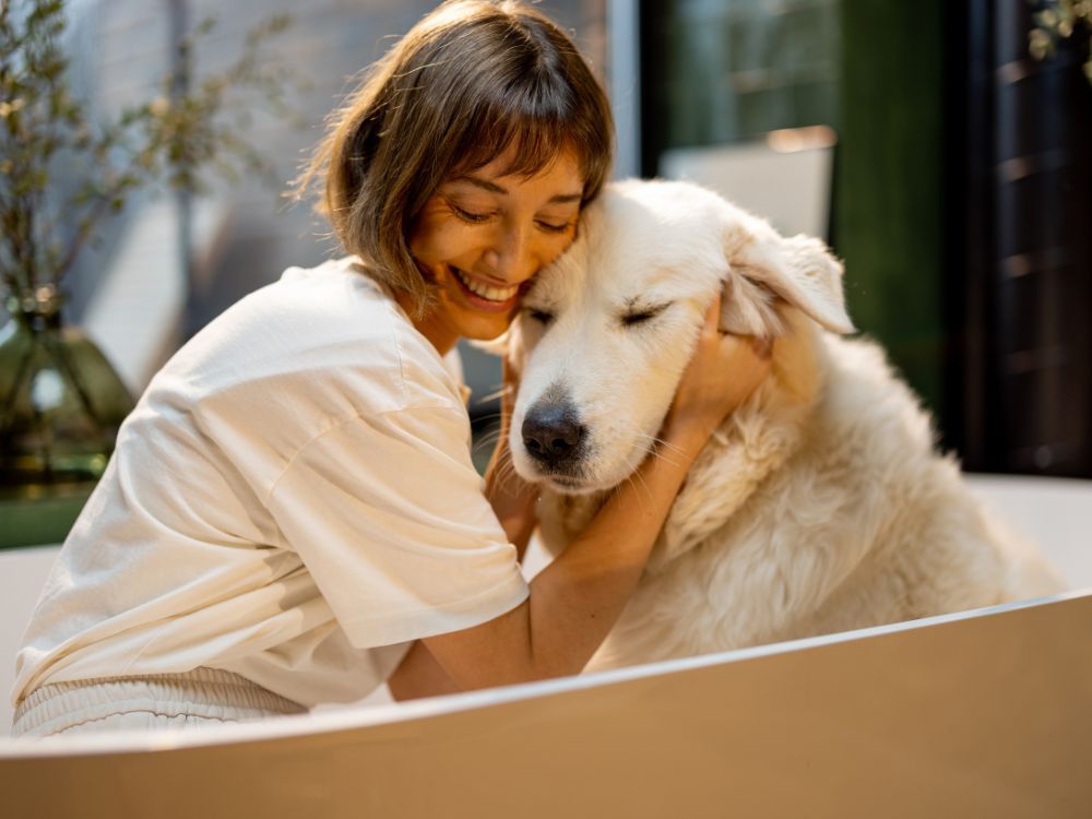 Animais de suporte emocional podem ser recusados em cabines de aviões, decide STJ 1 Animais de suporte emocional podem ser recusados em cabines de aviões