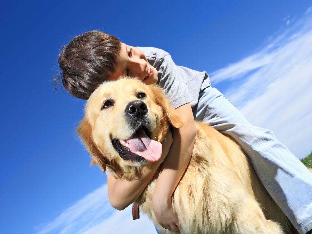Cão de criança autista impedido de voar
