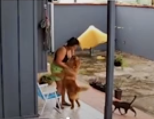 Captura de tela 2025 05 19 170634