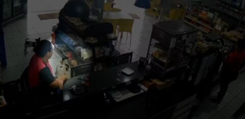 Dupla de cachorros furta pacote de torresmo em padaria