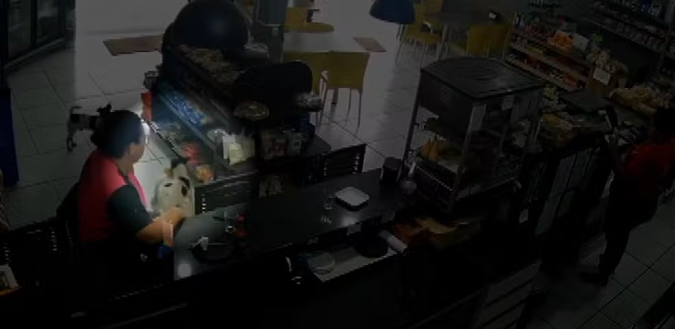 Dupla de cachorros furta pacote de torresmo em padaria; Vem ver! 1 Dupla de cachorros furta pacote de torresmo em padaria