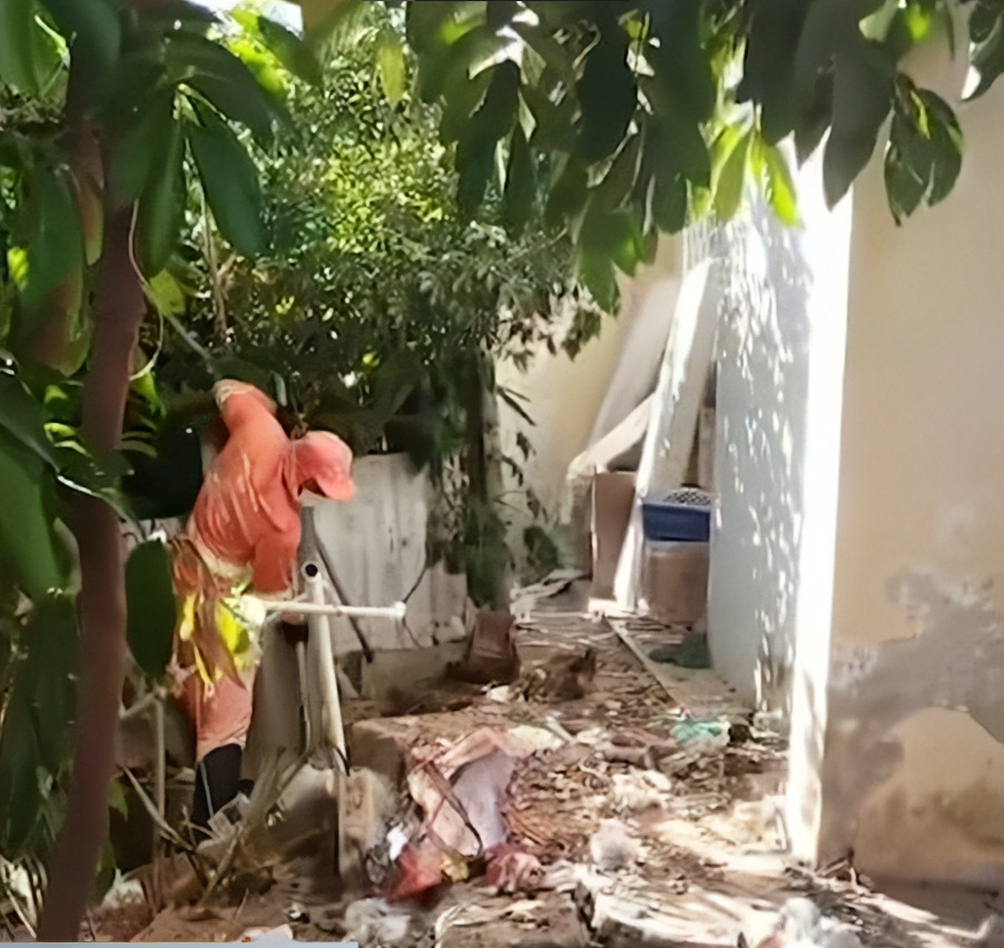 Resgate de 34 animais e a retirada de 6 toneladas