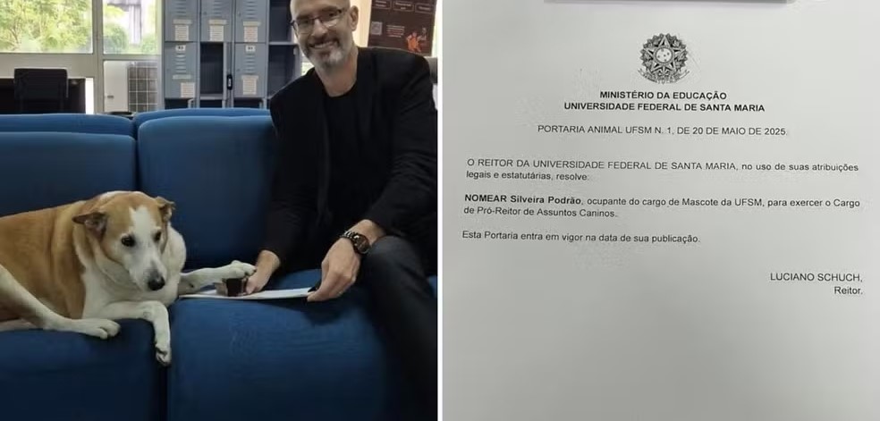UFSM ganha novo pró-reitor em assuntos caninos