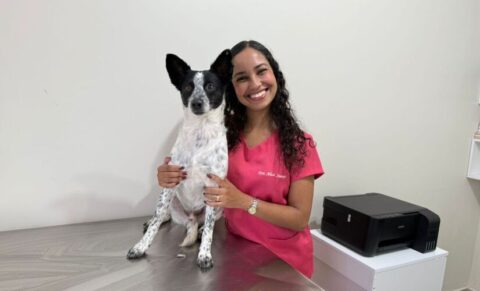 cachorro dá volta por cima e encanta com recuperação