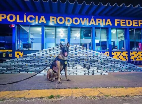 cão farejador descobre 400 kg de drogas