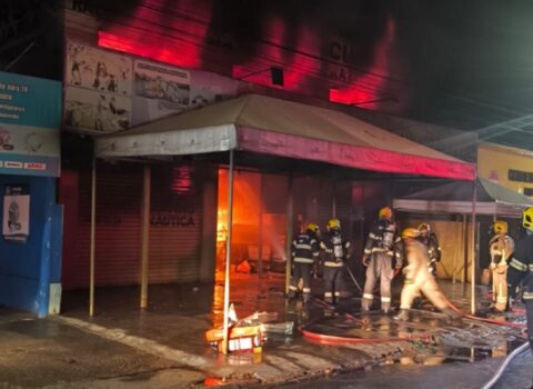 fogo consome pet shop e deixa animais mortos