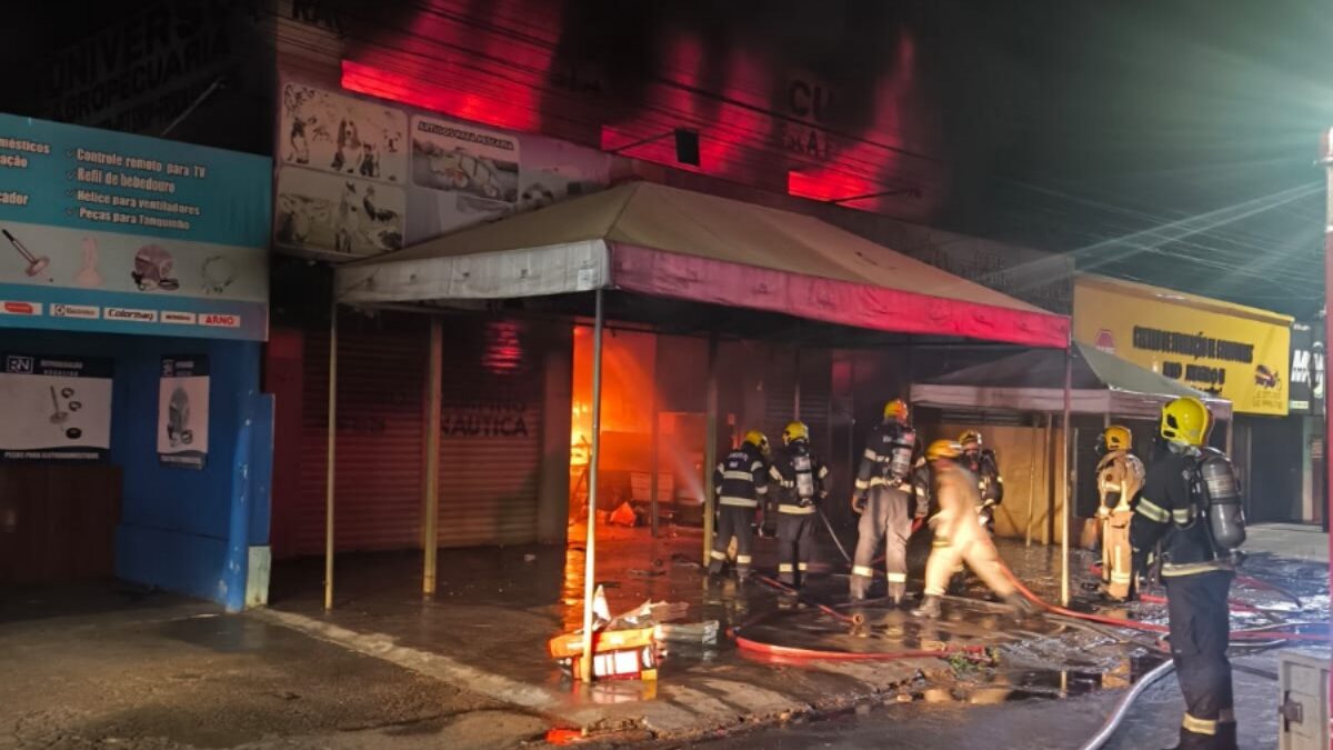 fogo consome pet shop e deixa animais mortos