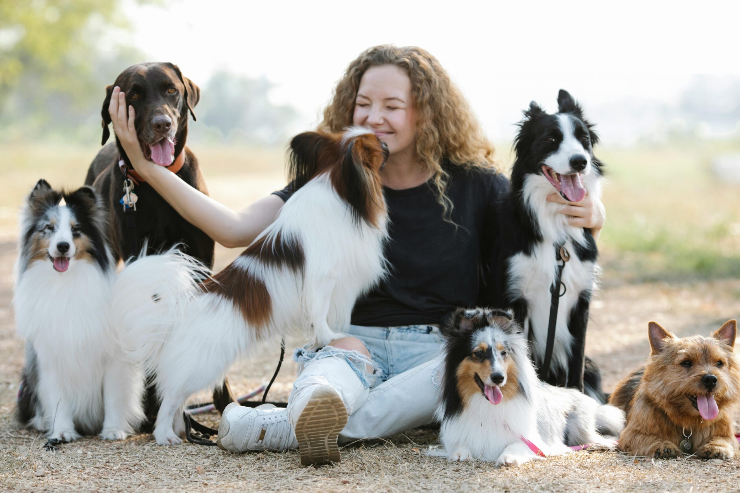 Cão Entende Conversas? A Ciência Revela Surpreendentes Capacidades Caninas, veja aqui!