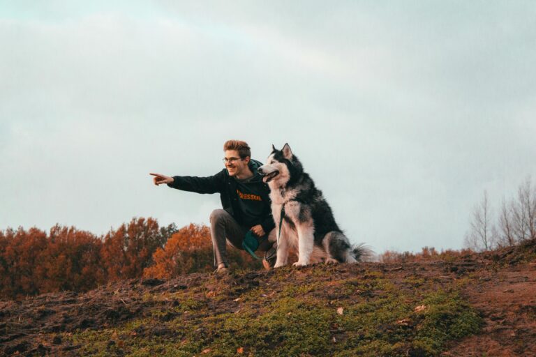 Estudo revela melhor forma de uma comunicação eficaz com os cães. Leia aqui! 1 pexels ruben daems 951759 5916886