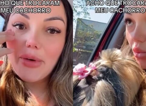 tutora percebe que pet devolvido após banho não era o seu