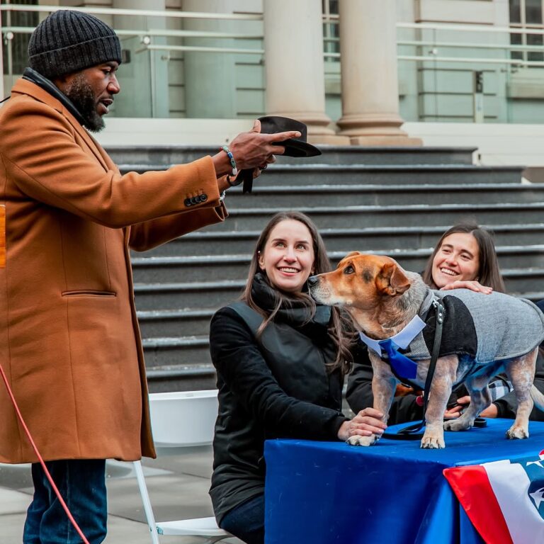 Como um cão se tornou prefeito canino? Veja a história completa aqui! 1 475387135 18003316202711623 2388894511344246050 n
