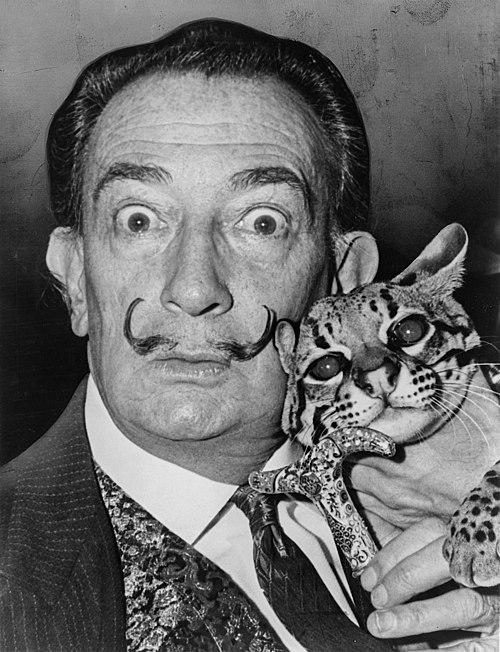 500px Salvador Dali NYWTS