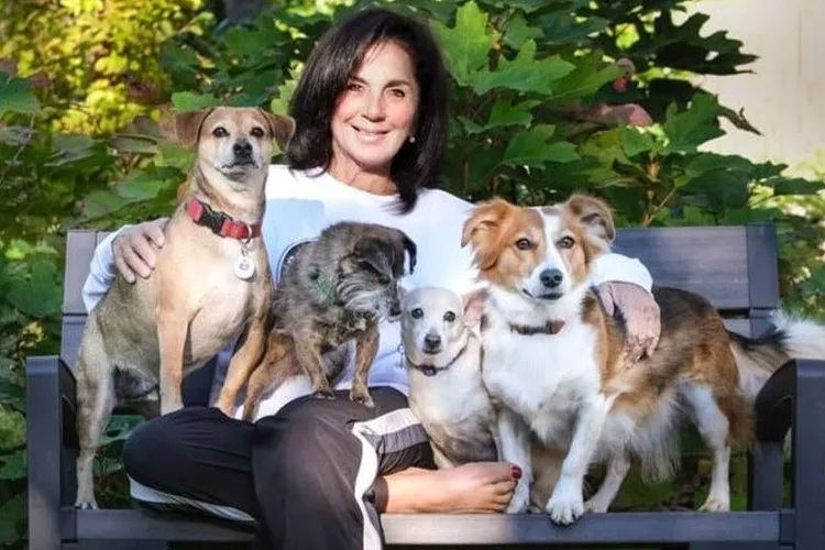Americana resgata mais de 1000 animais abandonados em Porto Rico, e os leva para os EUA. Veja aqui! 1 Andrea Herrick 5 041625 bf53b8dc247346fdaa130196ffa27a79