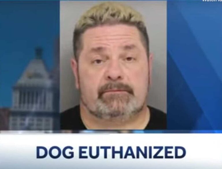 DogStrangledStory1