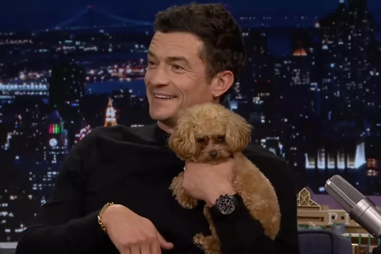 Orlando Bloom e seu cachorro: conheça Biggie Smalls