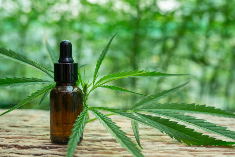 Óleo de cânhamo para cães: 5 benefícios que você precisa saber 1 folha de cannabis extraida oleo de canhamo