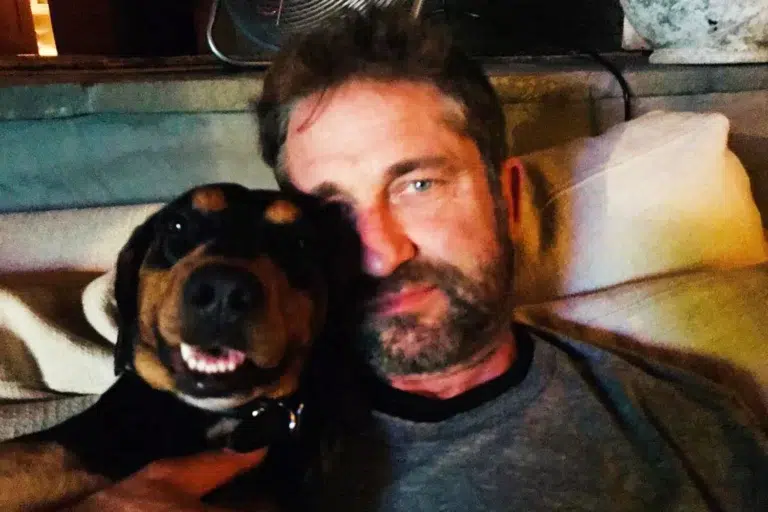 Gerard Butler adotou cachorro abandonado na Bulgária nas gravações de um filme. Conheça a história! 1 gerard butler dog 061225 2 2147c0df405a4a039937729ee7663714
