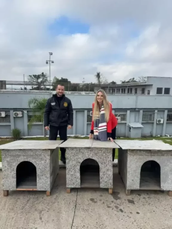 Presídio constrói casinhas para cães: veja como funciona 1 image 3
